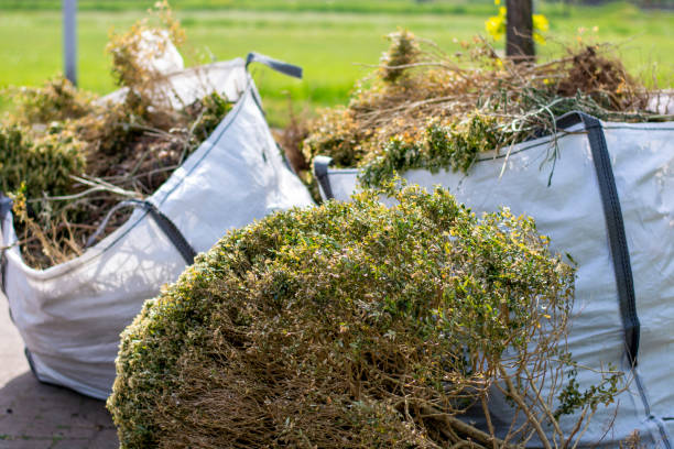Best Same-Day Junk Removal  in Lakemore, OH